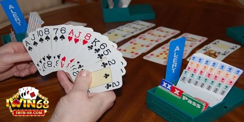 Cách Chơi Bài Bridge - Chinh Phục Trò Chơi Trí Tuệ Đỉnh Cao 1 cach choi bai bridge